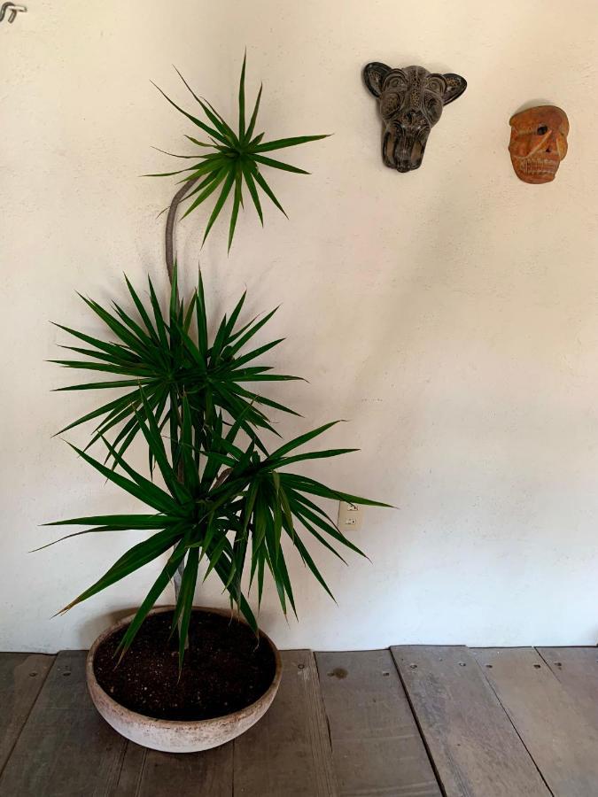 Lo Nuestro Petit Hotel Tulum Zewnętrze zdjęcie